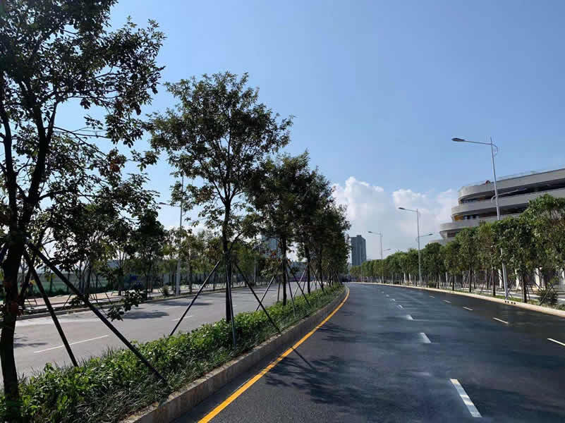 ƺɽ�^��������·����