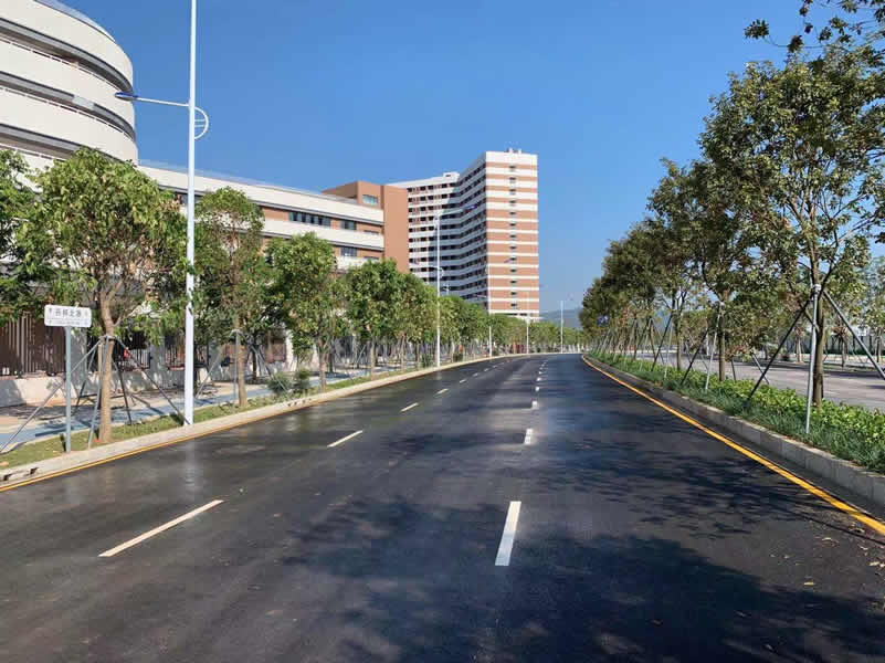 ƺɽ�^��������·����