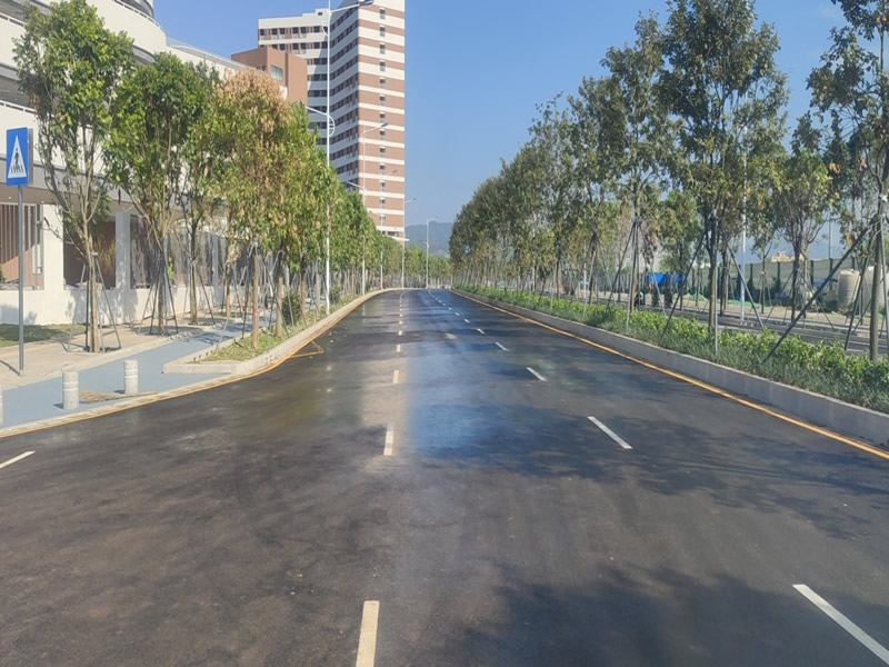 ƺɽ�^��������·����